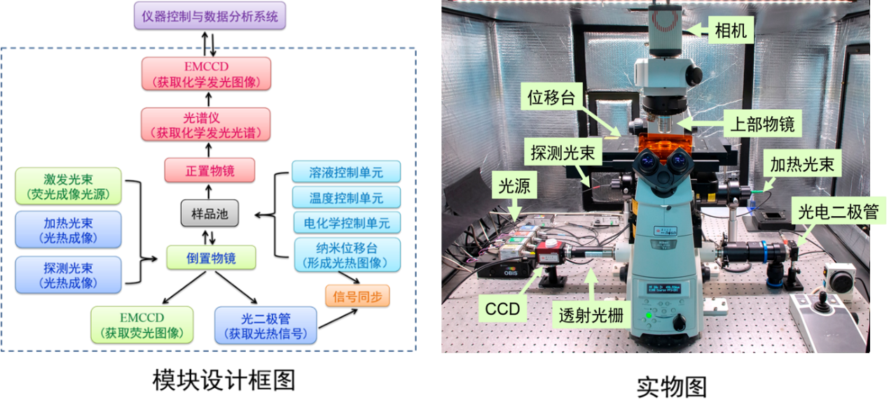 化学发光、荧光、光热多功能成像系统