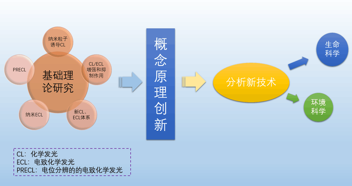 研究进展
